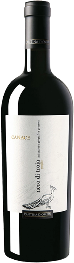 Canack Nero di Troia Puglia